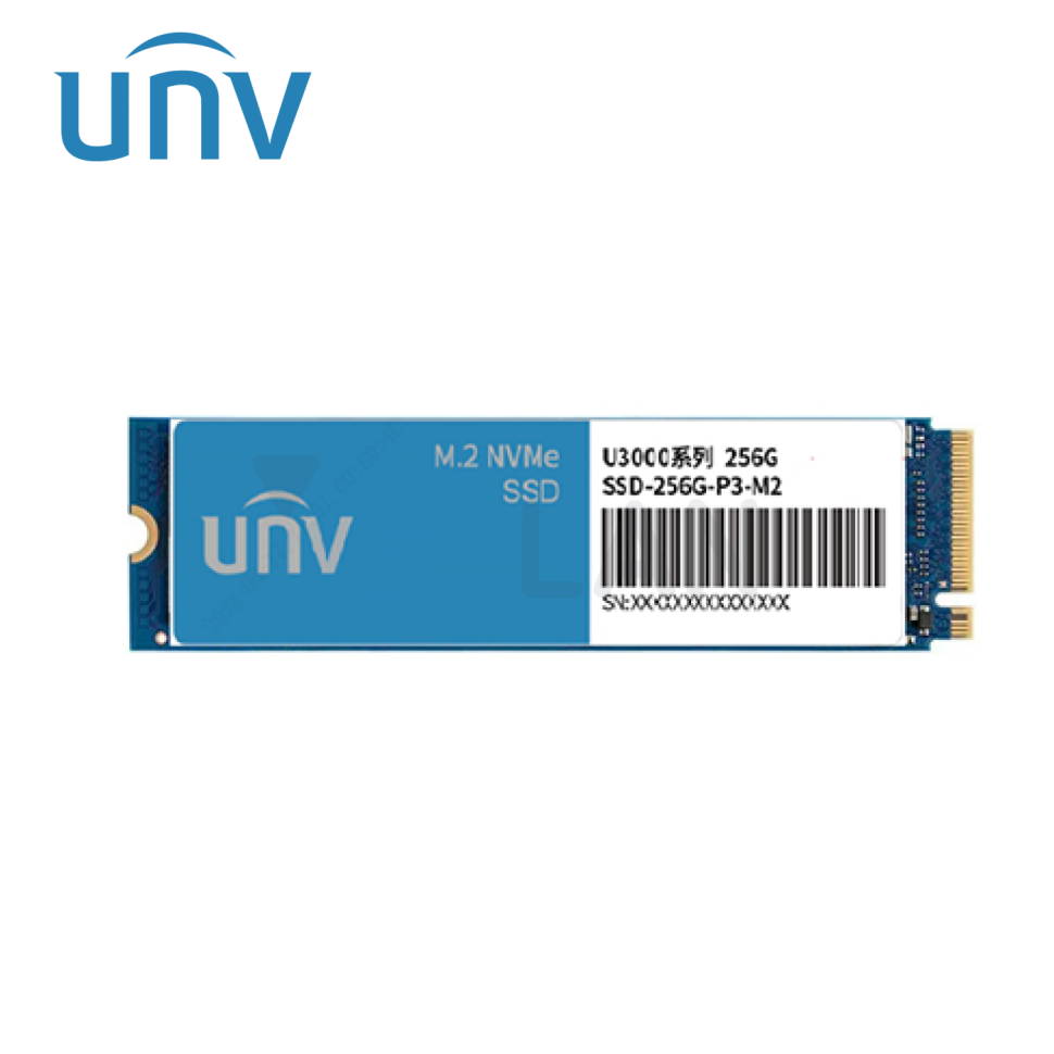 SSD-256G-P3-M2-IN