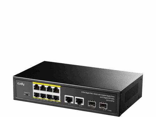 GS1010PS2