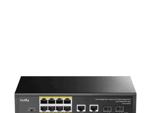GS1010PS2 - Image 2