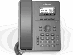 P10P - Image 2