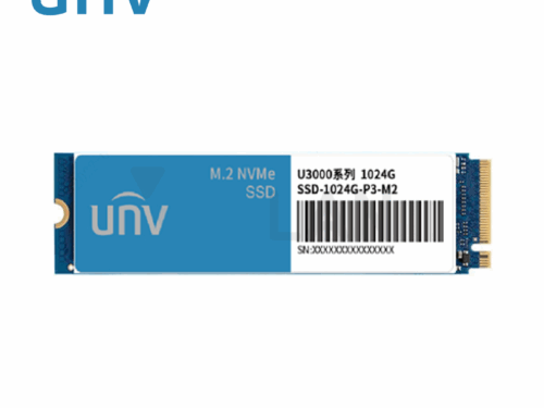 SSD-1024G-P3-M2-IN