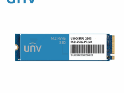 SSD-256G-P3-M2-IN