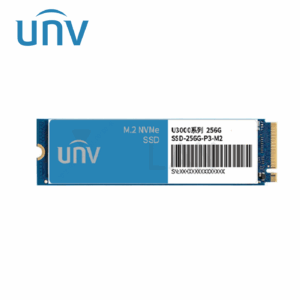SSD-256G-P3-M2-IN