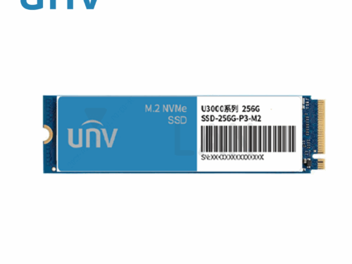 SSD-256G-P3-M2-IN