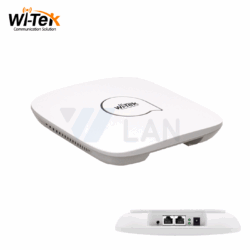 WI-AP217